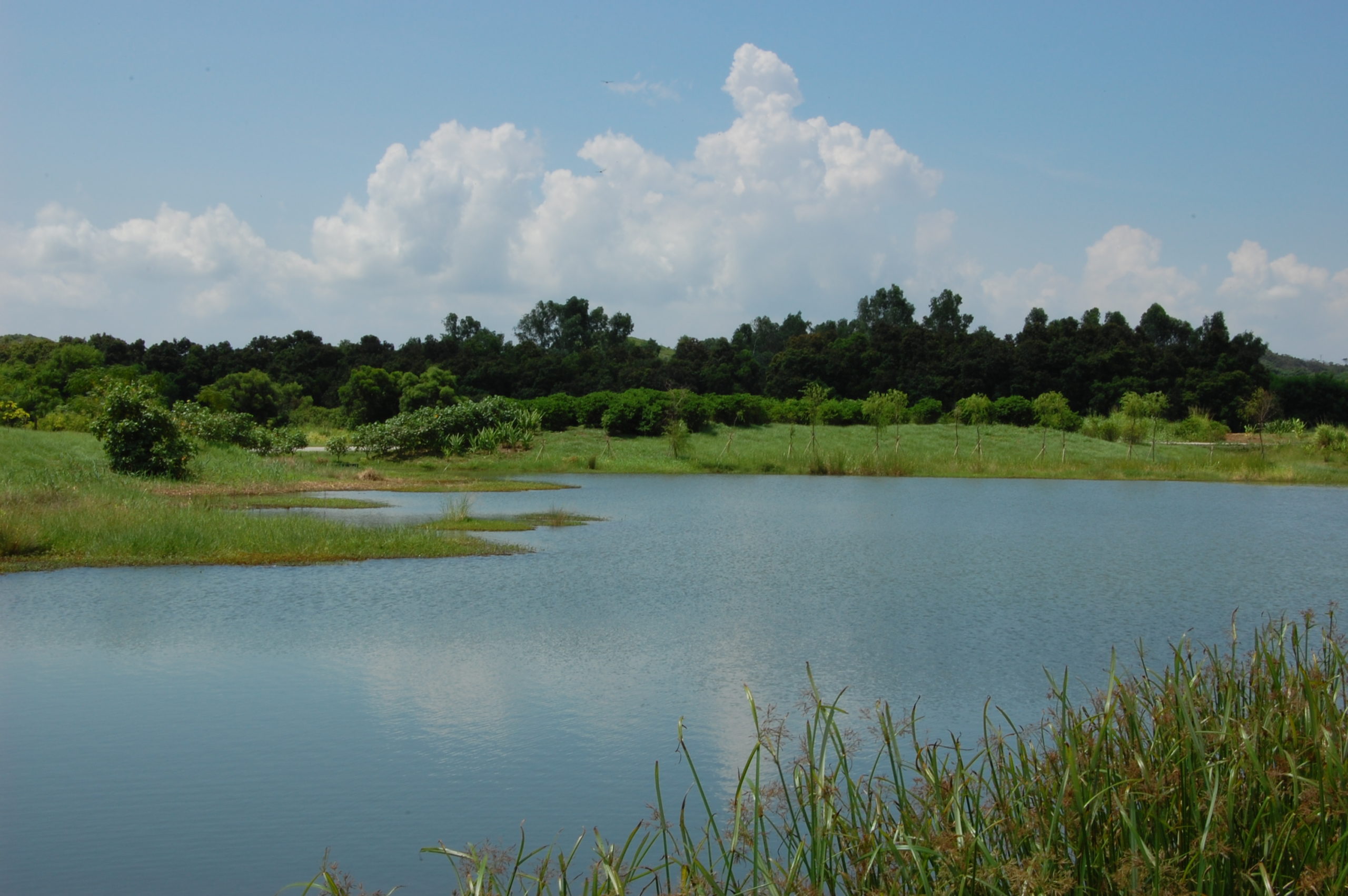 香港濕地公園(包門票)、南蓮園池、元朗公園內百鳥塔、大榮華酒樓九大簋- 團號HK-21-1201至HK-22-0330